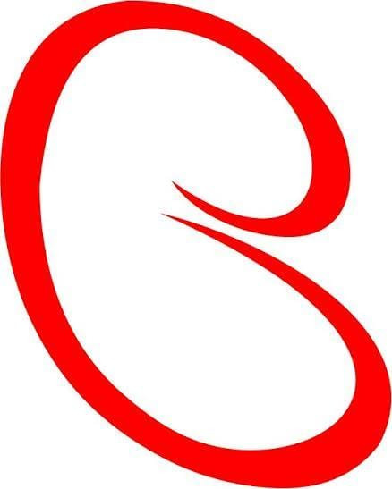 Imagem Clínica do Rim